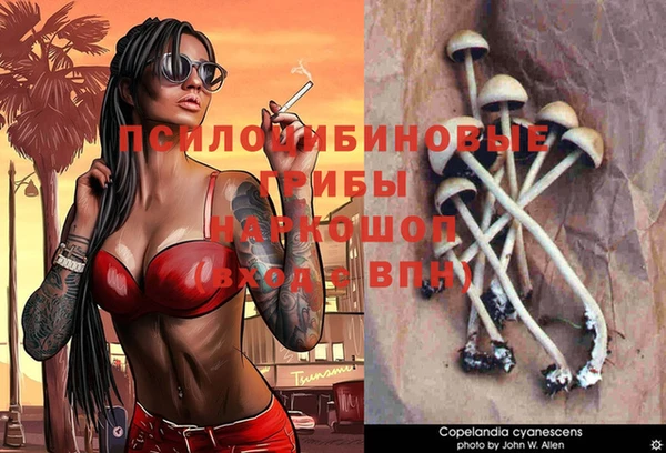 спайс Вязьма